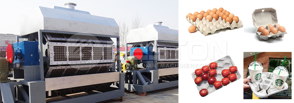 Egg Tray Machines for Sale