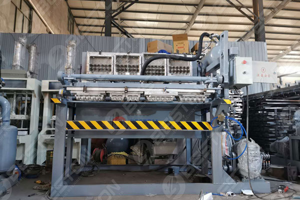 Egg Carton Machine for Sale